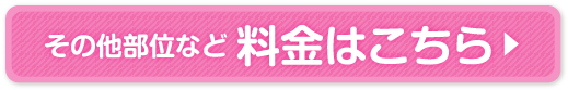 その他部位など 料金はこちら